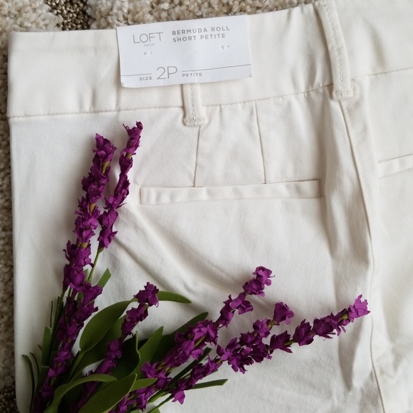 Light Cream Bermuda Roll Shorts | Size 2 - Picture 5 of 5